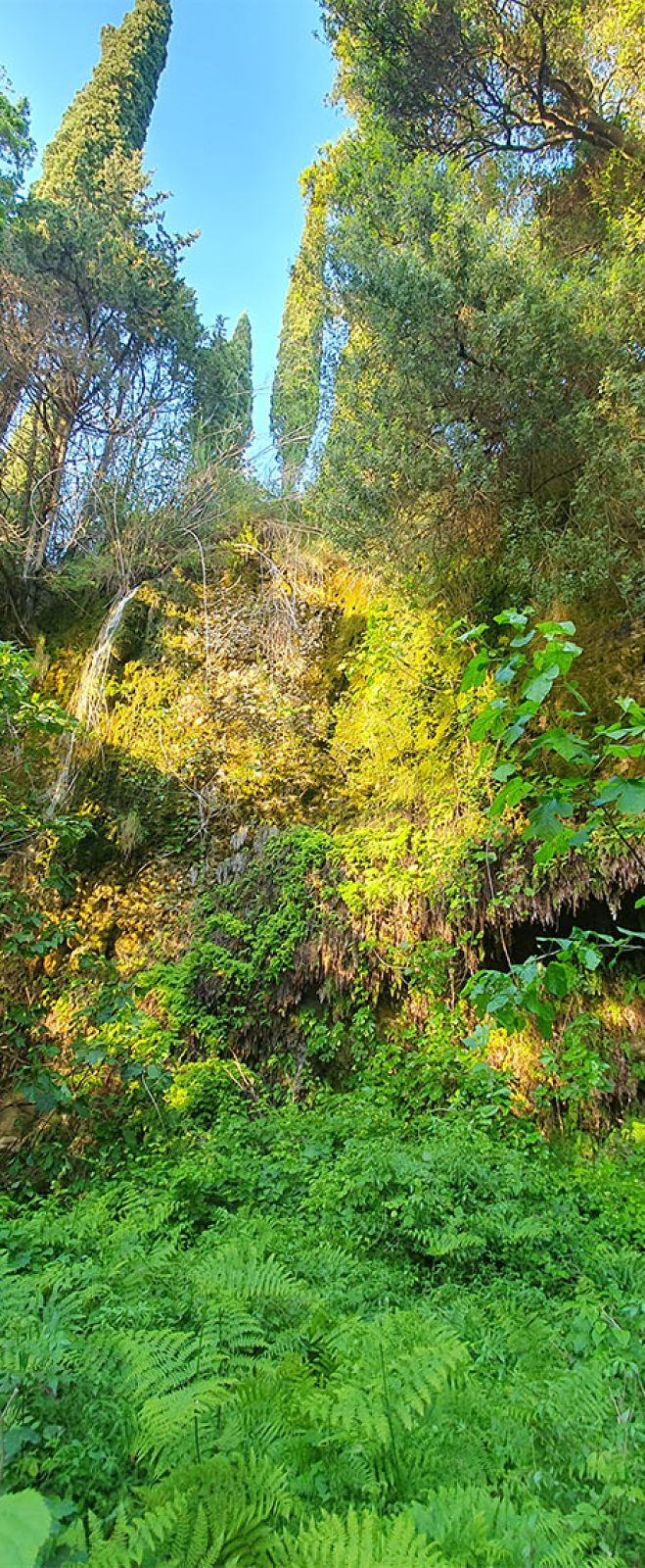 waterfall